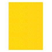 FOGLI PRISMA 70X100 GR.220 FF10 GIALLO A33B0A1