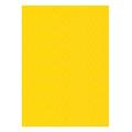 FOGLI PRISMA 70X100 GR.220 FF10 GIALLO A33B0A1