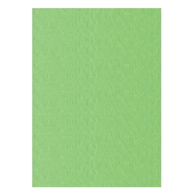 FOGLI PRISMA 70X100 GR.220 FF10 PISTACCHIO A33P0A1