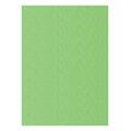 FOGLI PRISMA 70X100 GR.220 FF10 PISTACCHIO A33P0A1