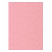 FOGLI PRISMA 70X100 GR.220 FF10 ROSA A33S0A1