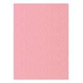 FOGLI PRISMA 70X100 GR.220 FF10 ROSA A33S0A1