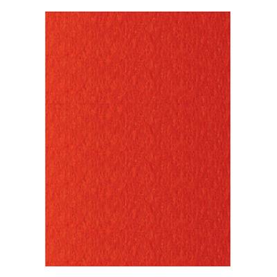 FOGLI PRISMA 70X100 GR.220 FF10 SCARLATTO A33C0A1