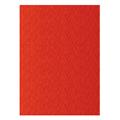 FOGLI PRISMA 70X100 GR.220 FF10 SCARLATTO A33C0A1