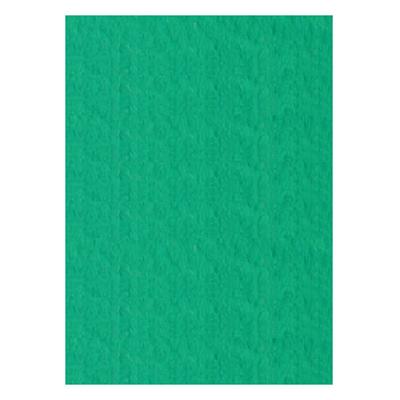 FOGLI PRISMA 70X100 GR.220 FF10 VERDE A33D0A1