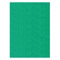 FOGLI PRISMA 70X100 GR.220 FF10 VERDE A33D0A1