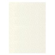 FOGLI PRISMA 70X100 GR.220 FF10 AVORIO A33Q0A1