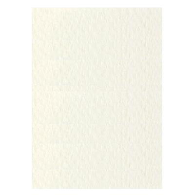 FOGLI PRISMA 70X100 GR.220 FF10 AVORIO A33Q0A1