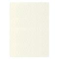 FOGLI PRISMA 70X100 GR.220 FF10 AVORIO A33Q0A1