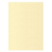 FOGLI PRISMA 70X100 GR.220 FF10 CAMOSCIO A33R0A1