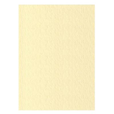 FOGLI PRISMA 70X100 GR.220 FF10 CAMOSCIO A33R0A1