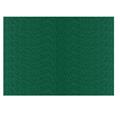 FOGLI PRISMA 70X100 GR.220 FF10 VERDE PINO A3360A1