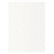 FOGLI PRISMA 70X100 GR.220 FF10 INDACO A33O0A1