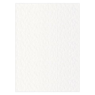 FOGLI PRISMA 70X100 GR.220 FF10 INDACO A33O0A1