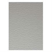 FOGLI PRISMA 50X70 GR.220 FF20 GRIGIO A33W012