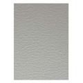 FOGLI PRISMA 50X70 GR.220 FF20 GRIGIO A33W012