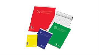 BLOCCHI NOTES DERBY 21X29 A4 FF.60 GR.60 5MM 0100019