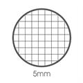 BLOCCHI NOTES DERBY PLUS A6 10X15 FG 70 RIG 5MM-10101