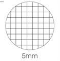 BLOCCHI NOTES DERBY PLUS A5 15X21 FG 70 RIG 5MM-10102