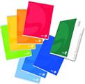 RUBRICA A5 15X21 COLOR 80 GR. 40 FOGLI 9 COLORI 0100482