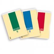BLOCCHI PIGNASTYL 15X21 A5 GR.80 BIANCHI 0213747BI