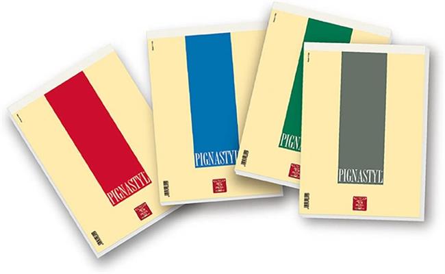 BLOCCHI PIGNASTYL 21X29 GR.80 5MM 02137485M
