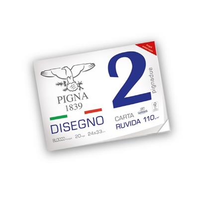 BLOCCHI PIGNADUE 24X33 RUVIDI FF.20