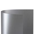 FOGLI A4 SPECIAL EVENTS FF.20 GR.120 SILVER A69U154