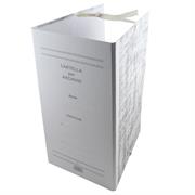 CARTELLE ARCHIVIO CON LEGACCI DORSO 20 0202202-20