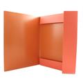 CARTELLE 3 LEMBI C/ELASTICO 26X34,5 MONOCROMO FLUO PIGNA