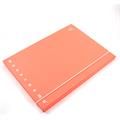 CARTELLE 3 LEMBI C/ELASTICO 26X34,5 MONOCROMO FLUO PIGNA