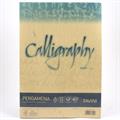 FOGLI A4 CALLIGRAPHY PERGAMENA GR.90 50FF ORO 03 A69W204