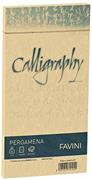 BUSTE CALLIGRAPHY 11X22 PZ.25 GR.90 ORO 03