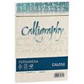 BUSTE CALLIGRAPHY 12X18 PZ.25 GR.90 SABBIA 02 A57U207