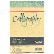 BUSTE CALLIGRAPHY 12X18 PZ.25 GR.90 ORO 03 A57W207