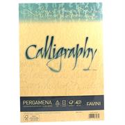 FOGLI A4 CALLIGRAPHY PERG.GR.190 50FF ORO A69W084