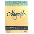FOGLI A4 CALLIGRAPHY PERG.GR.190 50FF ORO A69W084