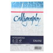 BUSTE CALLIGRAPHY 12X18 PZ.25 GR.90 PERLA 10 A574207