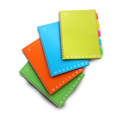 BLOCCO A4 SPIRALATO PVC GR.80 FF100 1R