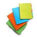 BLOCCO A4 SPIRALATO PVC GR.80 FF100 1R