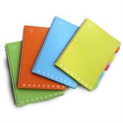 BLOCCO A4 SPIRALATO PVC GR.80 FF100 5M