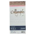 BUSTE CANVAS BIANCHE 11X22 PZ.25 A570414
