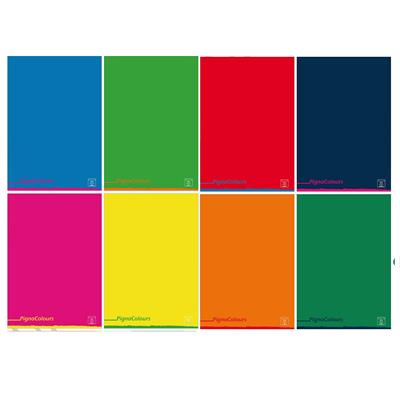 MAXI PIGNA COLOURS GR.80 40+2 FF 5M