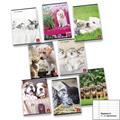 MAXI PIGNA DOLCI CUCCIOLI 42 FF/SH A