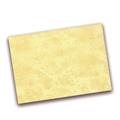 PERGAMENE GR.160 AVORIO A4 CL0800/BL10