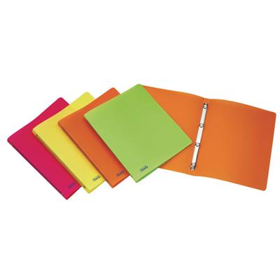 RACCOGLITORI EUROPA 24X30 D.16 4 ANELLI NEON 400066847