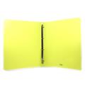 RACCOGLITORI EUROPA 24X30 D.16 4 ANELLI NEON 400066847