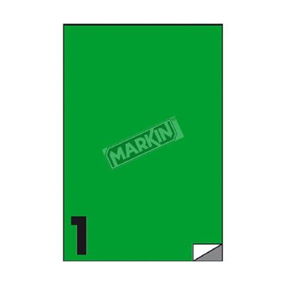 ETICHETTE MULTIUSO 210X297 VERDI 100 FOGLI