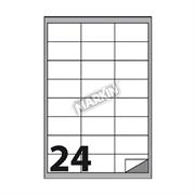 ETICHETTE MULTIUSO A4 CM0552 66X33,86