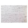 ROTOLI CRESPO GR.60 ARGENTO METALLIZZATO 402